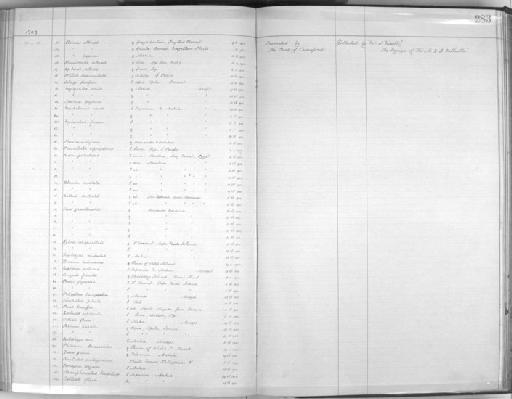 Nectarinia jugularis australis - Zoology Accessions Register: Aves (Skins): 1902 - 1904: page 283