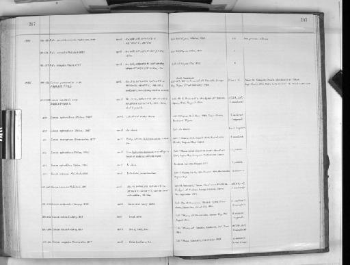 Pista corrientis McIntosh, 1885 - Zoology Accessions Register: Polychaeta: 1967 - 1989: page 207