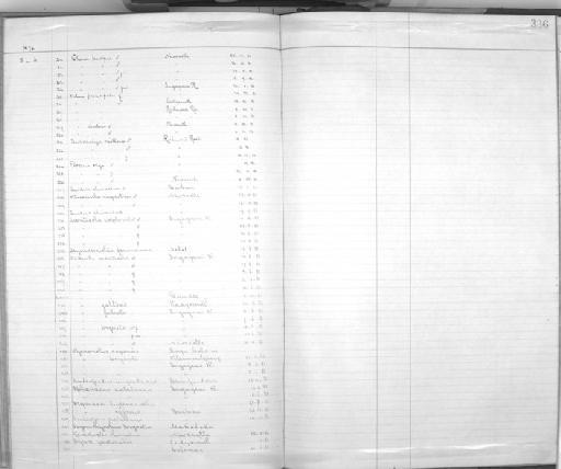 Monticola explorator (Vieillot, 1818) - Zoology Accessions Register: Aves (Skins): 1888 -1892: page 336