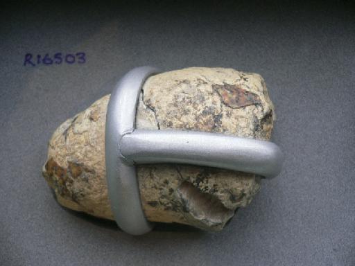 Coprolite - Dinojaws Coprolite NHMUK R16512