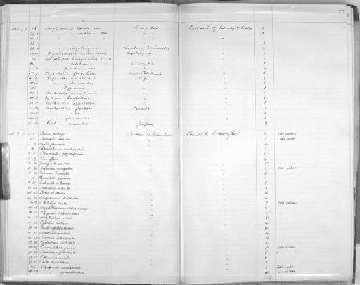 Daphnella lifouana Hervier, 1897 - Zoology Accessions Register: Mollusca: 1906 - 1911: page 75