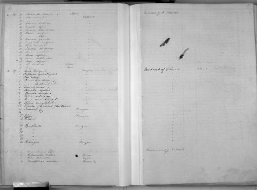 Holacanthus diacanthus Bleeker, 1857 - Zoology Accessions Register: Mammals: 1850 - 1853: page 291