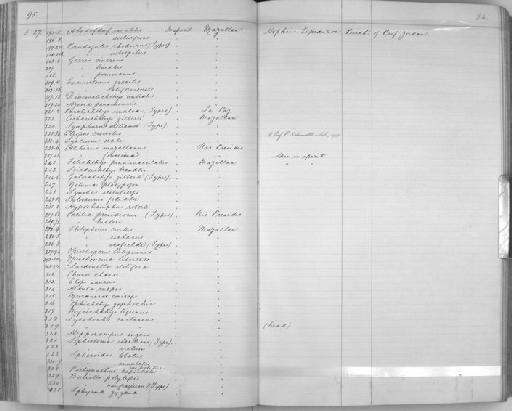 Clupea stolifera Jordan & Gilbert, 1882 - Zoology Accessions Register: Reptiles & Fishes: 1893 - 1903: page 84