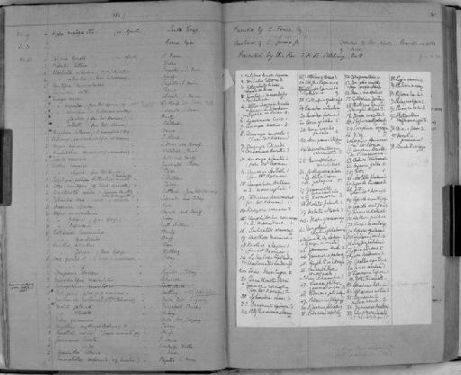Liljeborgia shetlandica - Zoology Accessions Register: Crustacea: 1876 - 1905: page 30
