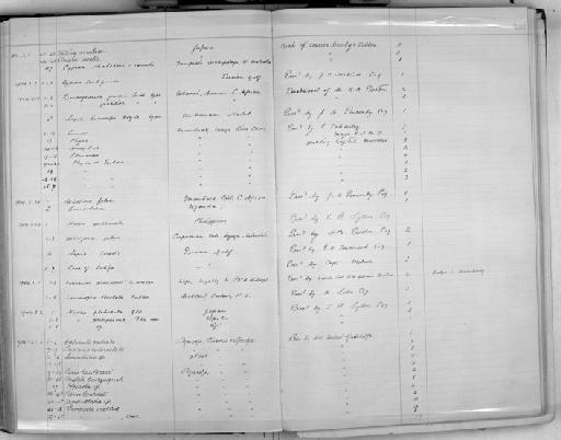 Pseudoglessula prestoni subterclass Tectipleura E. A. Smith, 1904 - Zoology Accessions Register: Mollusca: 1900 - 1905: page 163