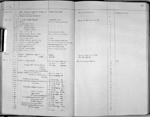 Dentalium longitrorsum Reeve, 1842 - Zoology Accessions Register: Mollusca: 1938 - 1955: page 95