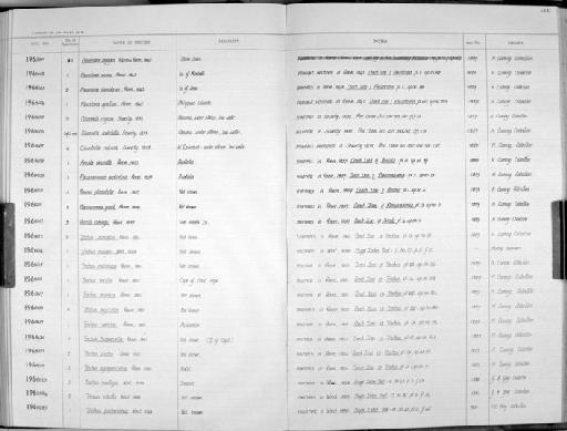 Pleurotoma spectrum Reeve, 1845 - Zoology Accessions Register: Mollusca: 1962 - 1969: page 232