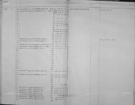 Sulculeolaria quadrivalvis de Blainville, 1830 - Zoology Accessions Register: Coelenterata: 1951 - 1958: page 133
