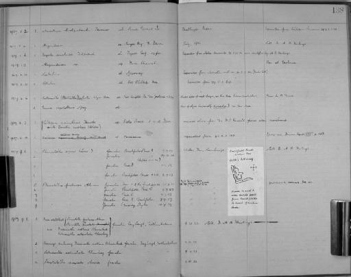 Alcyonidium sp - Zoology Accessions Register: Bryozoa: 1922 - 1949: page 138