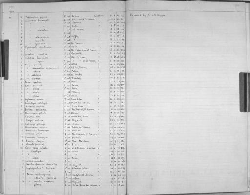 Corvus ruficollis ruficollis Lesson, 1831 - Zoology Accessions Register: Aves (Skins): 1942 -1947: page 260