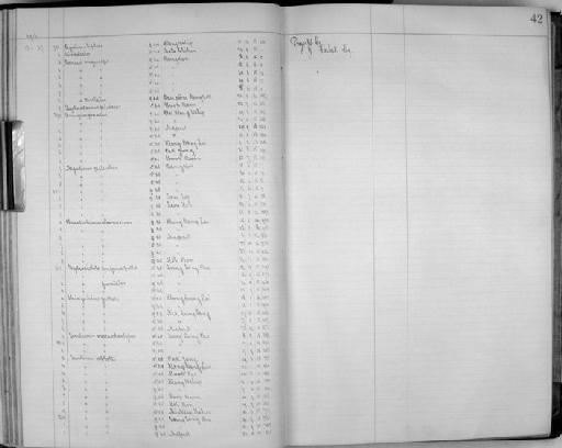 Pomatorhinus olivaceus siamensis E.C.S.  Baker, 1917 - Zoology Accessions Register: Aves (Skins): 1916 - 1920: page 42