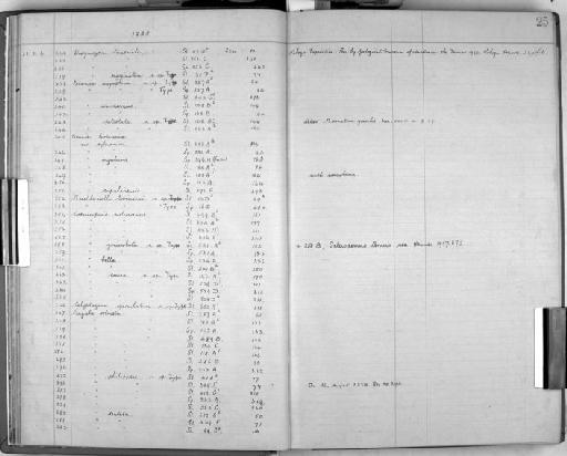 Calyptozoum operculatum Harmer, 1926 - Zoology Accessions Register: Bryozoa: 1922 - 1949: page 25