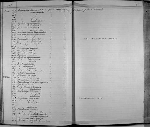 Hypostomus plecostomus (Linnaeus, 1758) - Zoology Accessions Register: Fishes: 1912 - 1936: page 160