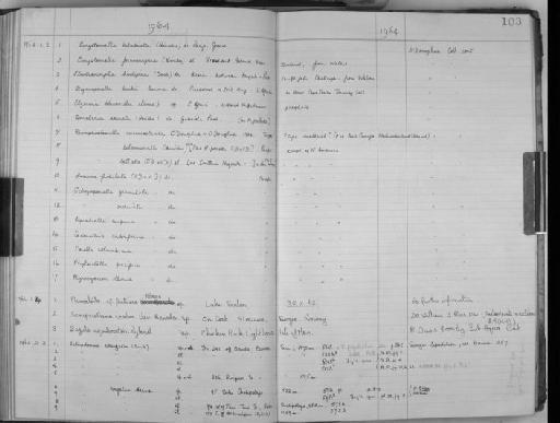 Steganoporella buskii Harmer, 1900 - Zoology Accessions Register: Bryozoa: 1950 - 1970: page 103