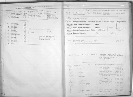 Leptoscarus vaigiensis (Quoy & Gaimard, 1824) - Zoology Accessions Register: Fishes: 1971 - 1985: page 213