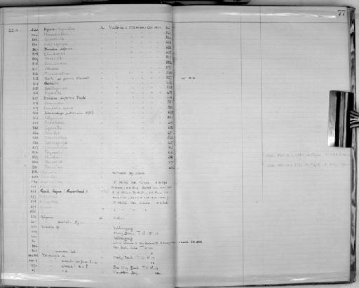 Desmacidon Bowerbank, 1861 - Zoology Accessions Register: Spongiida: 1918 - 1928: page 77