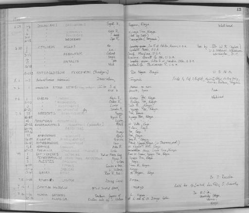 Osteoglossum ferreirai Kanazawa, 1966 - Zoology Accessions Register: Fishes: 1961 - 1971: page 112