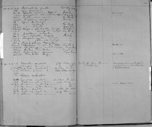 Diaptomus corunatus - Zoology Accessions Register: Crustacea: 1876 - 1905: page 204