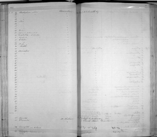 Serrasalmo sp - Zoology Accessions Register: Mammals: 1844 - 1846: page 88