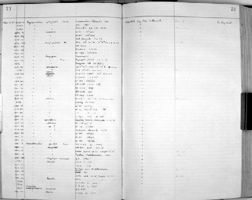 Thysanoessa longicaudata (Krøyer, 1846) - Zoology Accessions Register: Crustacea: 1935 - 1962: page 73