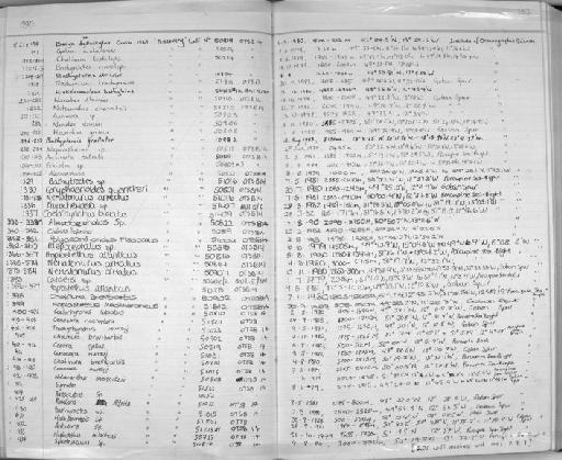 Bassozetus sp - Zoology Accessions Register: Fishes: 1986 - 1994: page 103