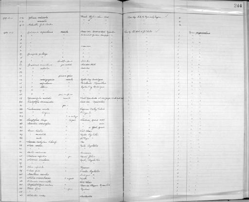 Trochonanina tongana - Zoology Accessions Register: Mollusca: 1925 - 1937: page 244