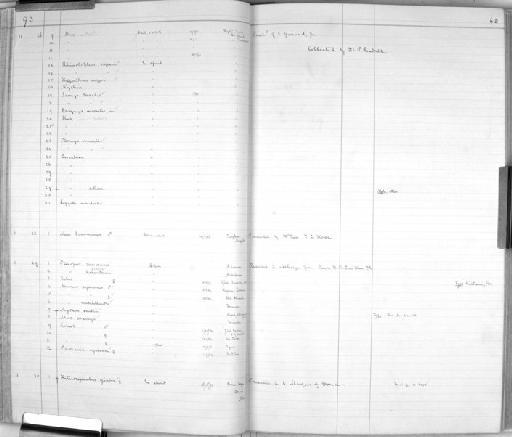 Hipposideros caffer - Zoology Accessions Register: Mammals: 1891 - 1898: page 68