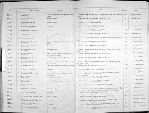 Mitra macrospira A. Adams, 1853 - Zoology Accessions Register: Mollusca: 1962 - 1969: page 200