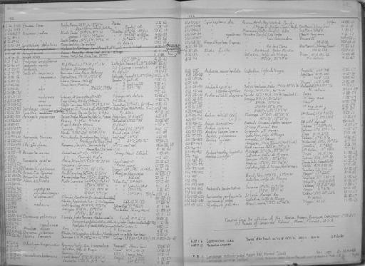 Centropyge multicolor Randall & Wass, 1974 - Zoology Accessions Register: Fishes: 1971 - 1985: page 112