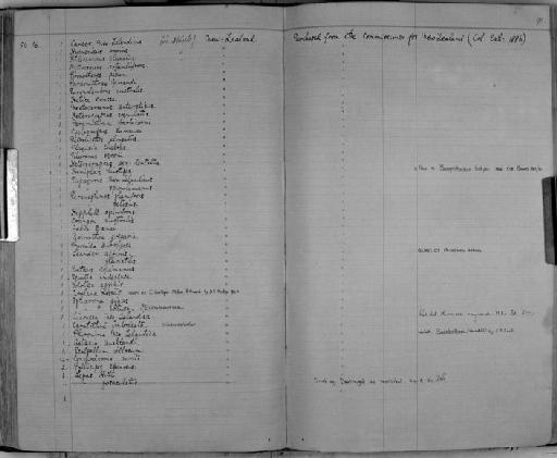 Leander fluviatilis - Zoology Accessions Register: Crustacea: 1876 - 1905: page 90