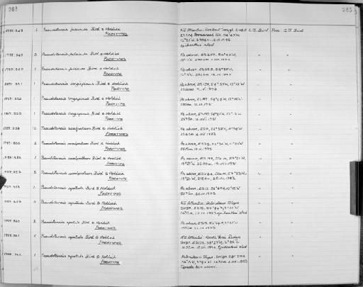 Pseudotanais falcicula Bird & Holdich, 1989 - Zoology Accessions Register: Crustacea: 1984 - 1991: page 283