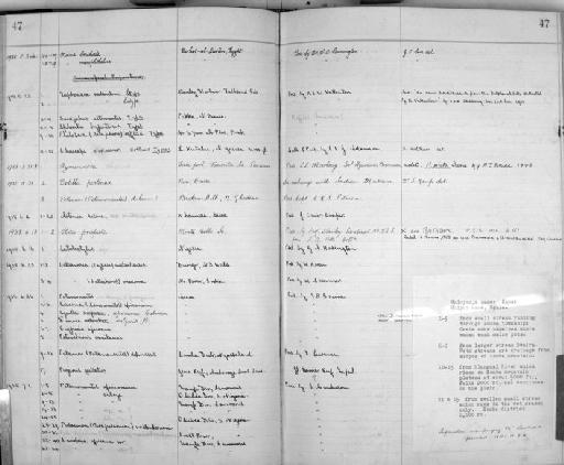 Chaeraps papuanus Holthuis - Zoology Accessions Register: Crustacea: 1935 - 1962: page 47