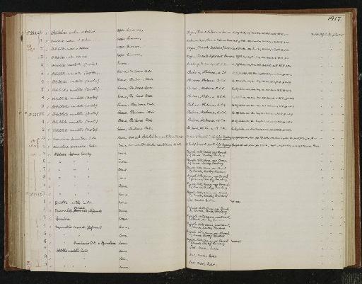 Nummulites broachensis Carter, 1857 - NHM-UK_P_DF118_04_03_0343