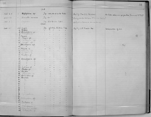 Porites Link, 1807 - Zoology Accessions Register: Coelenterata: 1934 - 1951: page 86