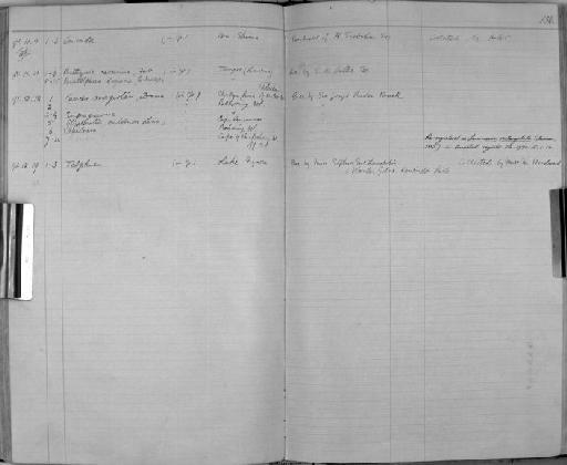 Bithynis carcinus (Fabricius) - Zoology Accessions Register: Crustacea: 1876 - 1905: page 136