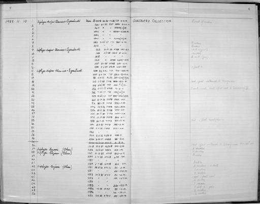 Diphyes bojani (Eschscholtz, 1825) - Zoology Accessions Register: Coelenterata: 1958 - 1964: page 6