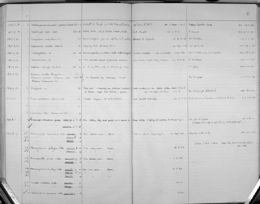 Halectinosoma fusiforme Wells, 1967 - Zoology Accessions Register: Crustacea (Entomostraca): 1963 - 1982: page 81