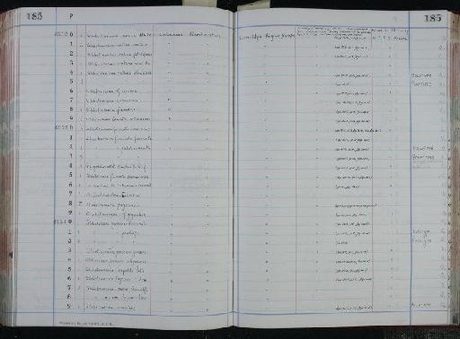 Globotruncana gansseri gandolfi El-Naggar, 1966 - NHM-UK_P_DF118_04_06_0371