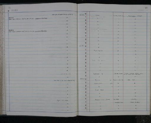 Lonchidion breve Patterson, 1966 - NHM-UK_P_DF118_03_15_0103