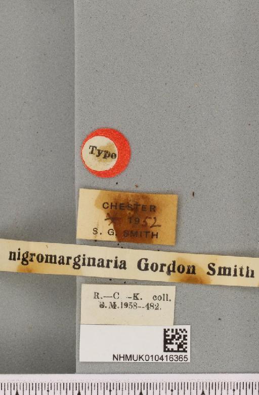 Arctia caja ab. nigromarginaria Smith, 1953 - NHMUK_010416365_label_528714