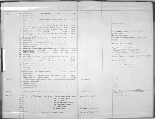 Sertularella rugosa (Linnaeus, 1758) - Zoology Accessions Register: Coelenterata: 1964 - 1977: page 10