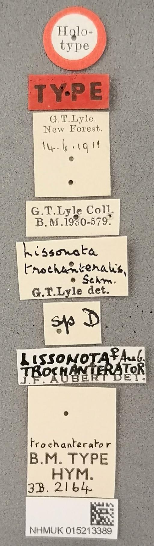 Lissonota trochanterator Aubert, 1972 - 015213389_Lissonota_trochanterator_holotype_labels