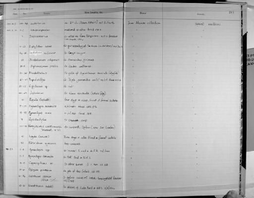 Paragonimus westermani (Kerbert, 1878) - Zoology Accessions Register: Platyhelminth: 1971 - 1981: page 241