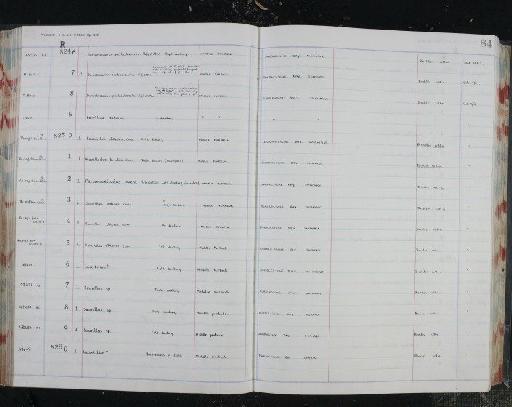 Paramacellodus oweni Hoffstetter, 1967 - NHM-UK_P_DF118_03_24_0173