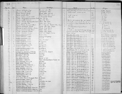 Cypraea granulata Pease, 1863 - Zoology Accessions Register: Mollusca: 1956 - 1978: page 73