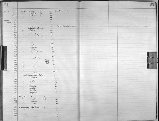 Desmacidon fruticosa (Montagu) - Zoology Accessions Register: Spongiida: 1929 - 1938: page 25