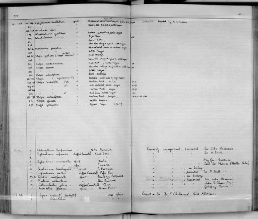 Tilapia heudelotii Duméril, 1861 - Zoology Accessions Register: Fishes: 1937 - 1960: page 148