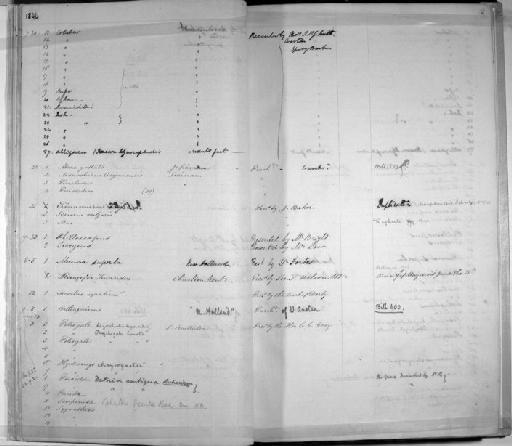 Peristedion sp - Zoology Accessions Register: Mammals: 1844 - 1846: page 21