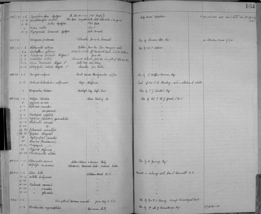 Palaemonetes varians (Leach, 1814 [in Leach, 1813-1815]) - Zoology Accessions Register: Crustacea: 1905 - 1935: page 164