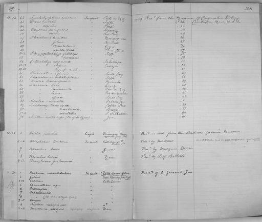 Squaliforma horridus (Kner, 1854) - Zoology Accessions Register: Reptiles & Fishes: 1878 - 1892: page 325